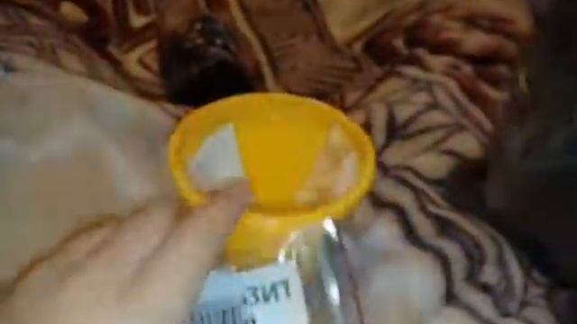 Вырасти дерево! Ель колючая,сизая! смотреть онлайн