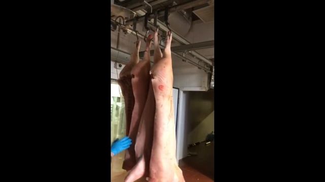 Установка весового оборудования (монорельсовые весы) во Внуково на мясокомбинате. смотреть онлайн