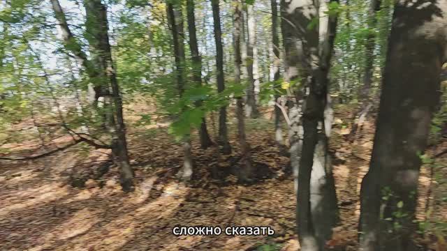 Здесь была усадьба помещика  с комплексом строений. Осмотр и раскопки под Вырыпаево. 29092023.