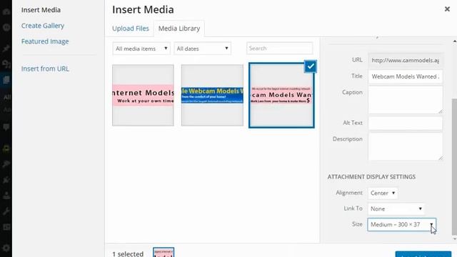 How to change the banner size in wordpress смотреть онлайн