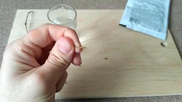 Черенкование ивы Результат смотреть онлайн