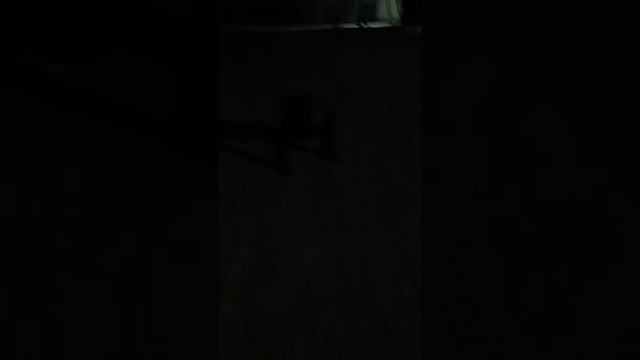 Износиловал собаку смотреть онлайн