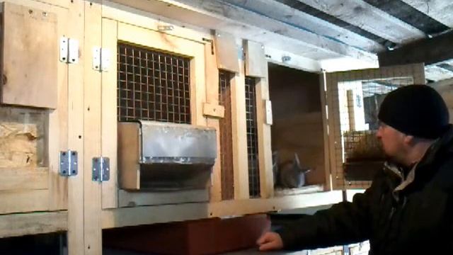 Клетка для кроликов своими руками смотреть онлайн