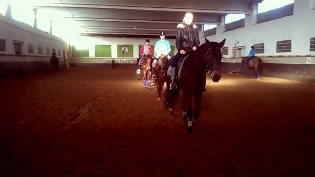 КОННЫЙ СПОРТ.Dressage. смотреть онлайн