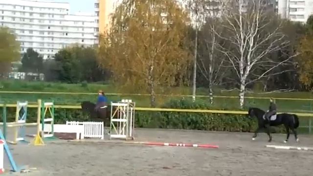Лошади Битца тренировка конкур видео 1 смотреть онлайн