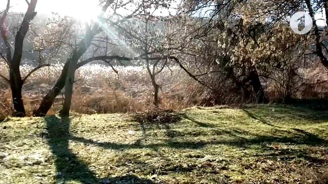 В путь! Село Жура - 20/12/18 смотреть онлайн