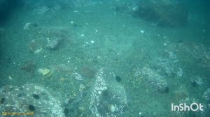 Самодельная система хука . самодельный акваланг.