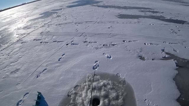 ЧУТЬ УДОЧКУ НЕ СЛОМАЛ! рыбалка на Дону! Ловля судака на вибы! Рыбалка с эхолотом практик 6м смотреть онлайн