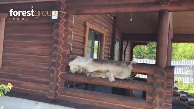 Обзор дома из оцилиндрованного бревна в коттеджном поселке Изумрудный ручей // FORESTGROUP смотреть онлайн