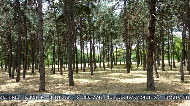 Русские и сербы - а похожи ли мы? смотреть онлайн