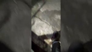 Заклинил мотор Нексия.