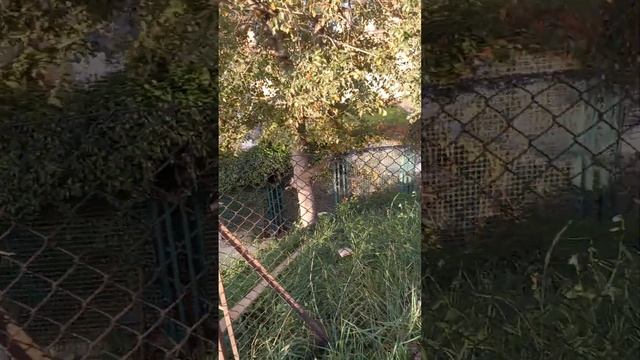 Городок ГРАДАРА. Сделано в Италии? смотреть онлайн