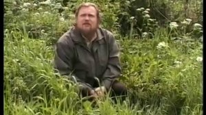 Целебные растения и их применение. Часть 3. Травник Валерий Бабурин.