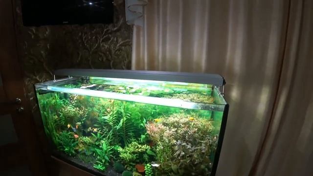 Установил ТОП светильник в свой аквариум Травник на 200 литров смотреть онлайн