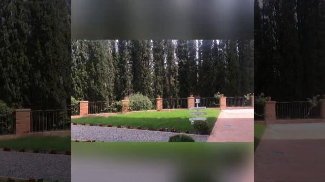 ❤️Исцеляющая Медитация улучшает все сферы жизни #медитация #Хоопонопоно #психология смотреть онлайн