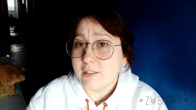 Это видео о том почему сегодня не будет видео смотреть онлайн