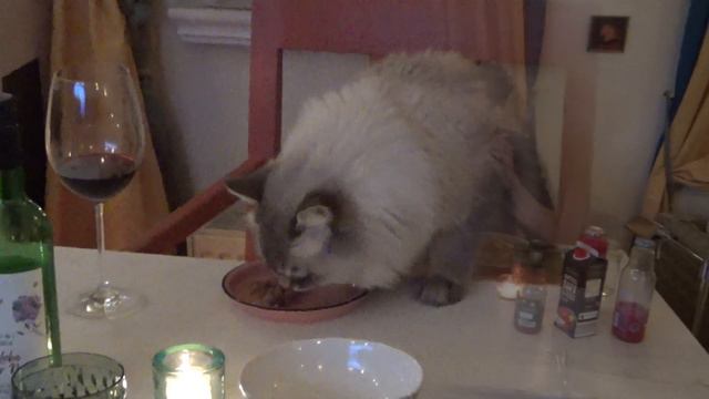 Кто в доме хозяин? смотреть онлайн