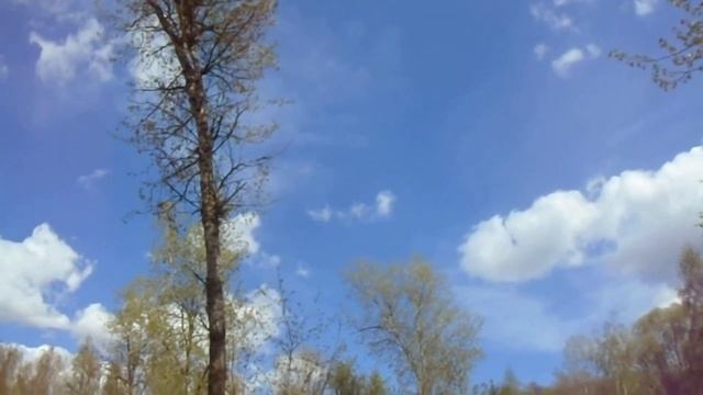 Эффект наблюдателя и коллапс волновой функции системы - облако смотреть онлайн
