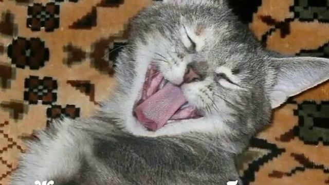 Подарок бабушке 23 июня 2017