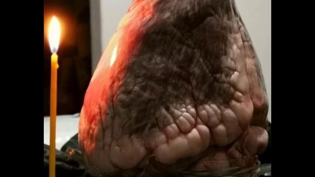 ВСЁ ПРОИСХОДИТ КАК ДОЛЖНО" ОТЧЁТ О ПРОДЕЛАННОЙ РАБОТЕ НАШИХ ВОИНОВ КАНАЛА ОМУТ (со страниц Тelegram) смотреть онлайн