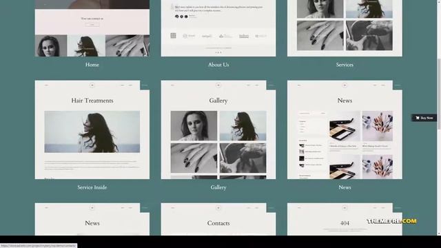 Mykery - Beauty Salon WordPress Theme clean makeup Erika смотреть онлайн