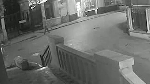 Как в Ялте воруют цветы из клумбы у здания казначейства (1) смотреть онлайн