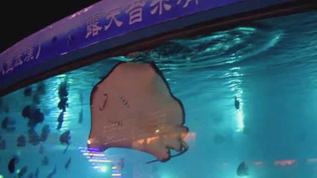 КИТАЙ УДИВЛЯЕТ! Увидели ночью в Китае такую красоту! смотреть онлайн