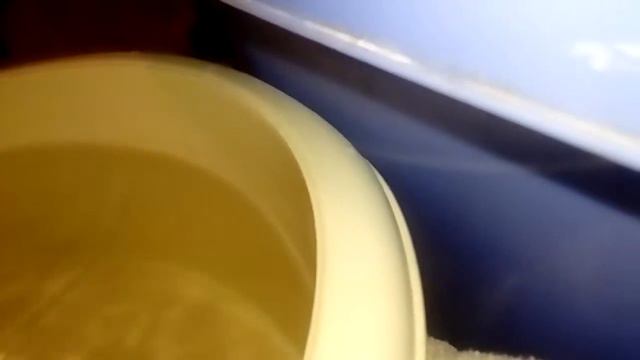 Облил себя холодной водой?!!! (Челендж) смотреть онлайн