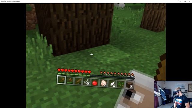 OFFICIAL MINECRAFT FOR OCULUS RIFT | WINDOWS 10 VR EDITION смотреть онлайн