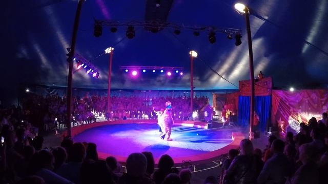 Цирк Ю.Никулина "Шоу Владимира Дерябкина". смотреть онлайн