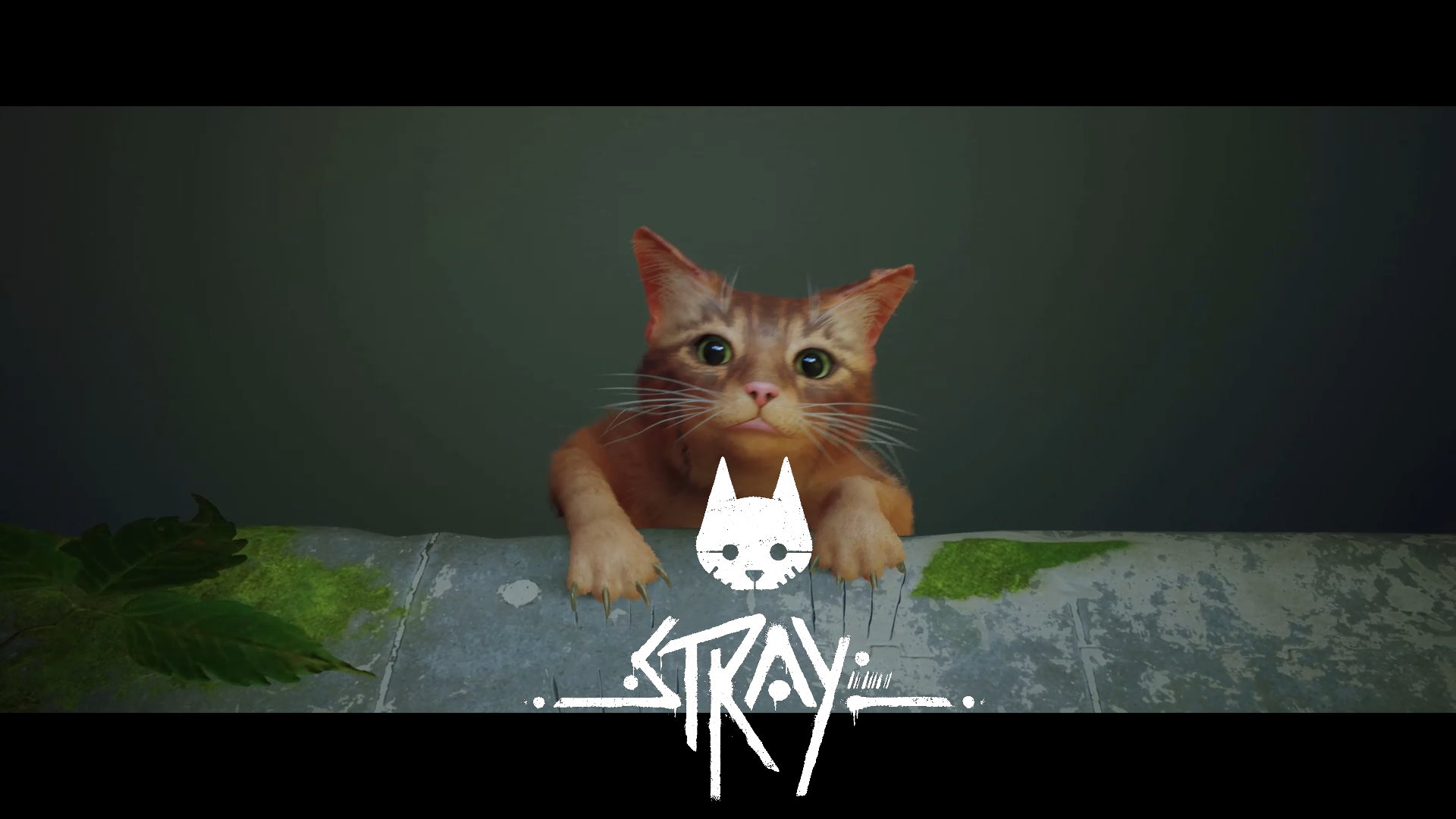 Кот-программист - Stray #1 смотреть онлайн