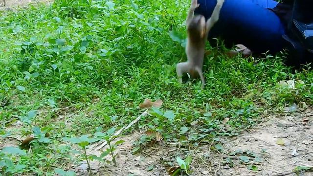 Breaking News! Rose Intends To Return Rainbow Back Home But She Run Fast To Libby, RB Runs Coz Rose