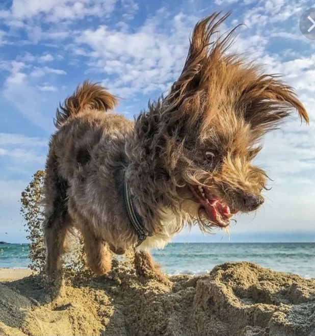 ПРИКОЛЫ ИЮНЬ 2022 - 10 МИНУТ СМЕХА смотреть онлайн