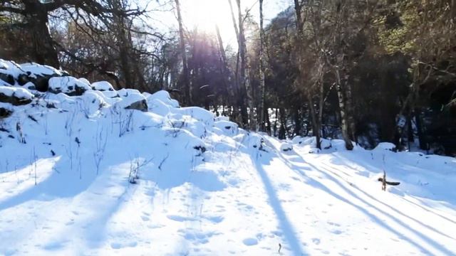 #25,31 Теберда, Ущелье Джамагат, Джамагатские нарзаны и чуть выше, 27.12.20 смотреть онлайн