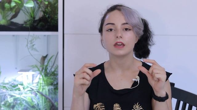 How To Take Care Of Asparagus Ferns | Keep Asparagus Setaceus - Plant Care Tips смотреть онлайн