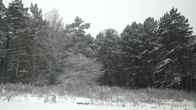 Мода и Стиль для Подростков