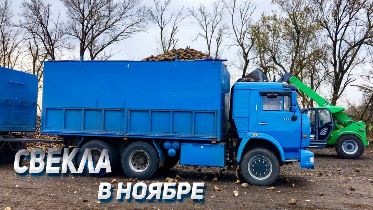 СЛОЖНОСТИ уборки в ноябре на КАМАЗЕ смотреть онлайн