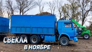 СЛОЖНОСТИ уборки в ноябре на КАМАЗЕ