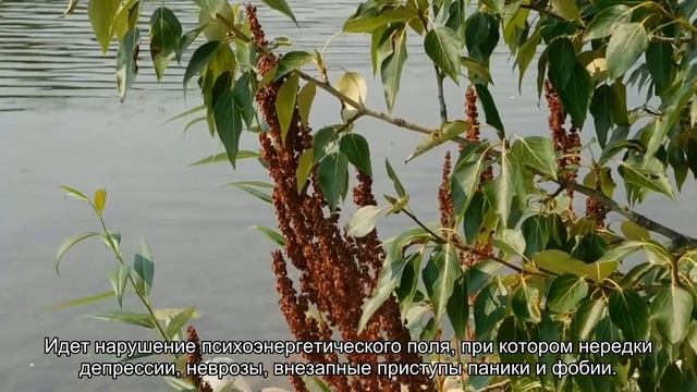 Порча на здоровье: признаки и как снять смотреть онлайн
