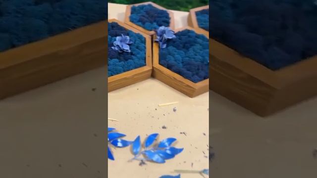 Соты со мхом и растениями смотреть онлайн