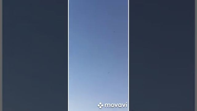 Благодарненские бойные голуби Токарь В. А. Вечерний гон . Тел. 89064914150