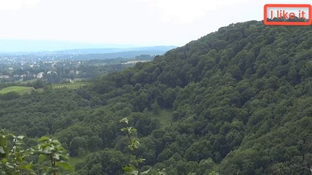 Panorama of Vienna, Austria. Panorama von Wien, Österreich. Панорама Вены, Австрия. смотреть онлайн