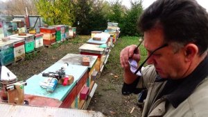 Обработка Дым-пушкой, ППУ Медведи в зимовку