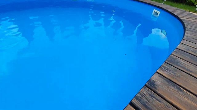 Пчелы в бассейне. SARBAS.RU смотреть онлайн