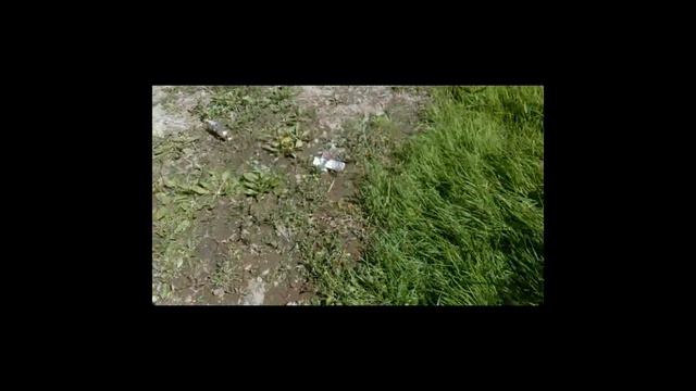 Мор рыбы на Оке под Алексином смотреть онлайн