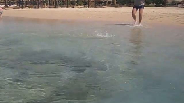 Рыбалка на Красном море (ловля кефали на пляже) смотреть онлайн