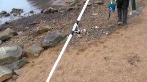 Минтай 2021! Ловля минтая с берега. Морская рыбалка/Sea fishing!