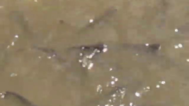 рыбное место смотреть онлайн