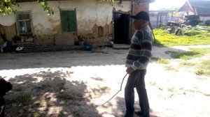 Учим собаку кусать за руки нападающего человека. И за что нужно кусать нападающего человека?