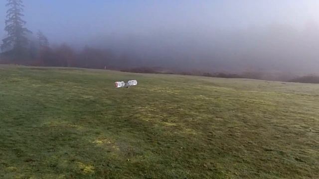 Magnus Effect Cartoon 1s Hawkeye E-2C RWR (Rotating Wing Radar) смотреть онлайн